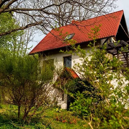 Pod Debami * Brodnica Dolna