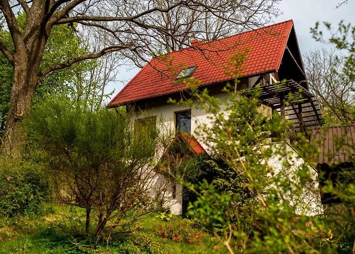 Pod Debami * Brodnica Dolna