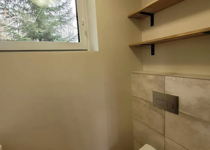 Pod Debami Brodnica Dolna